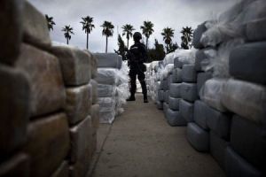 Egypt police detained the record volume of drugs.  