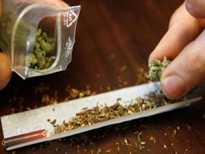 French students have overtaken the whole Europe by the volume of smoked marijuana