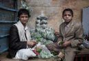 Khat dealers in Sanaa, Yemen